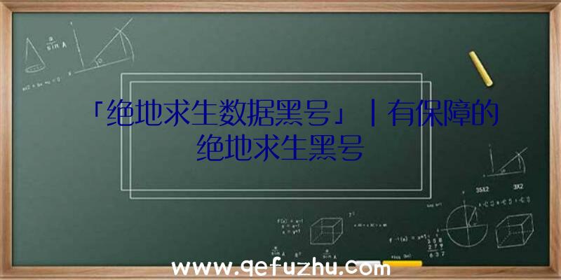 「绝地求生数据黑号」|有保障的绝地求生黑号